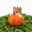 Load image into Gallery viewer, Shiba Inu Pumpkin