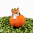 Load image into Gallery viewer, Shiba Inu Pumpkin