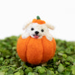 Load image into Gallery viewer, Maltese Pumpkin
