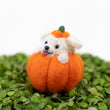 Load image into Gallery viewer, Maltese Pumpkin