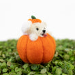 Load image into Gallery viewer, Maltese Pumpkin