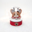 Load image into Gallery viewer, Rudolph Corgi with Jingle Bells Snow Globe