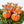 Load image into Gallery viewer, [PREORDER] Corgi Pumpkins

