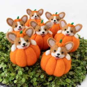 [PREORDER] Corgi Pumpkins