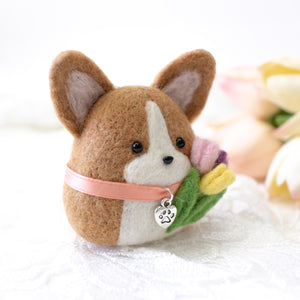 Spring Corgi holding Tulips