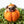 Load image into Gallery viewer, Dog Pumpkins
