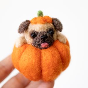 Pug Pumpkin