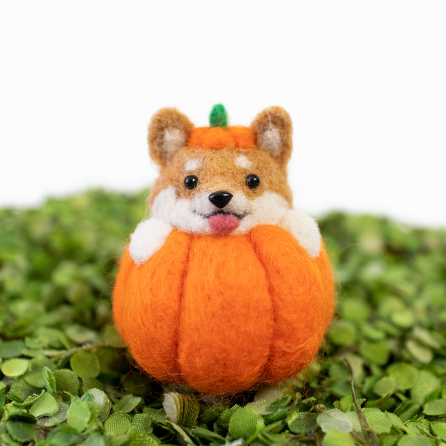 Shiba Inu Pumpkin