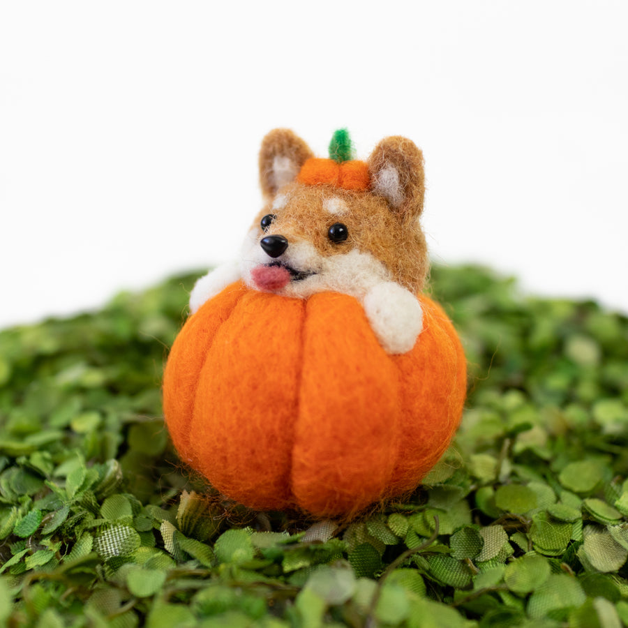 Shiba Inu Pumpkin