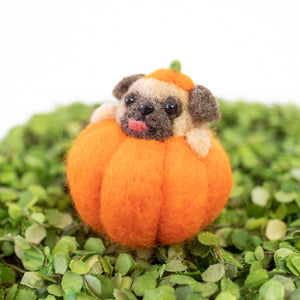 Pug Pumpkin