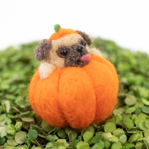 Pug Pumpkin