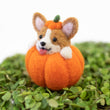 Load image into Gallery viewer, [PREORDER] Corgi Pumpkins
