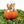 Load image into Gallery viewer, [PREORDER] Corgi Pumpkins
