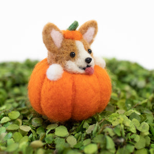 [PREORDER] Corgi Pumpkins