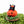 Load image into Gallery viewer, *RESERVED FOR JENNIFER: JiJi Cat Pumpkin on Stand
