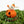 Load image into Gallery viewer, Zero Pumpkin on Stand
