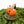 Load image into Gallery viewer, Snoopy Pumpkin on Stand
