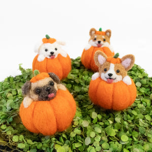 Dog Pumpkins