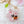 Load image into Gallery viewer, Rose Quartz Corgi Sakura Liquid Shaker Charm Keychains
