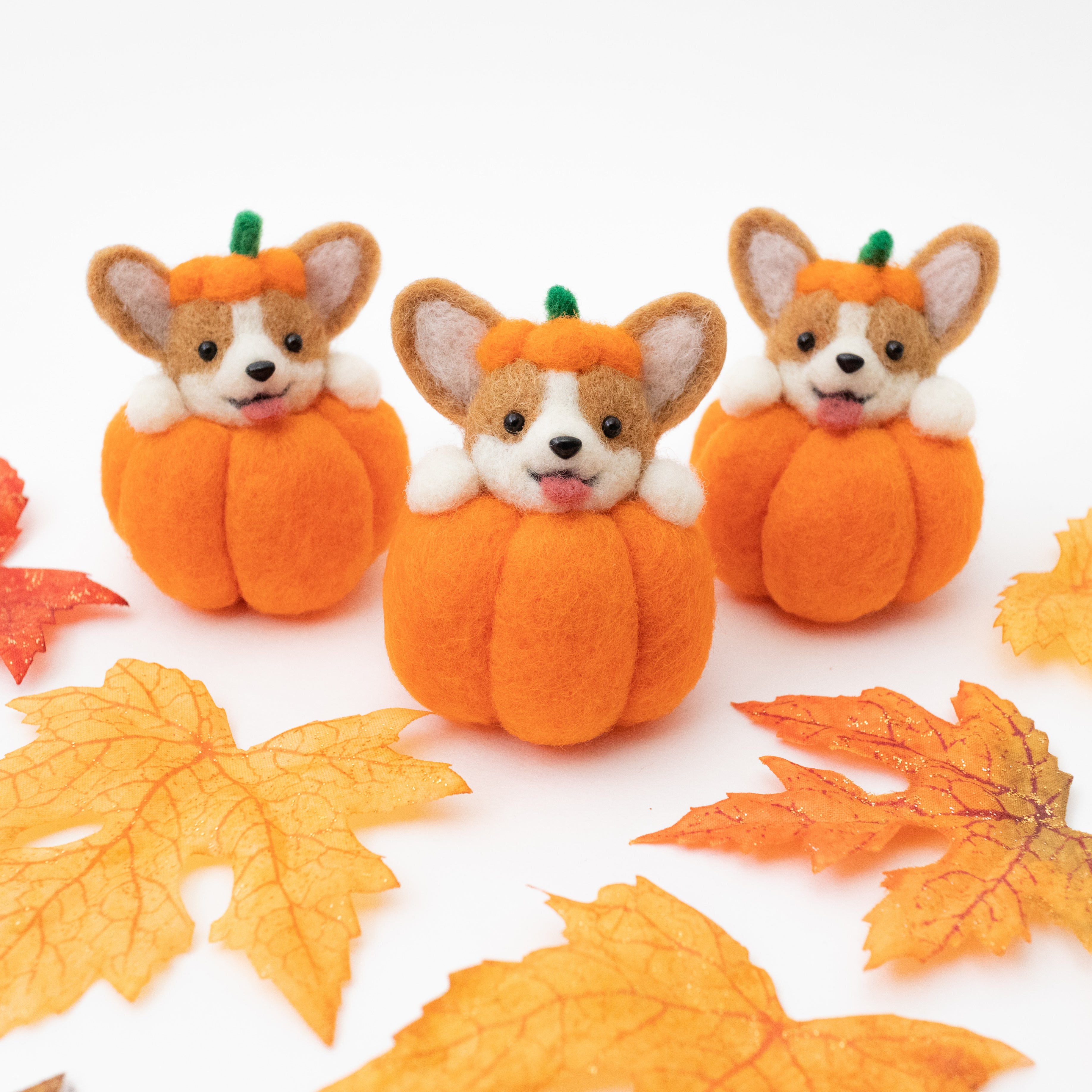 PREORDER] Corgi Pumpkin – Le Chibi Momo