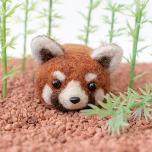 Nekoro Red Panda